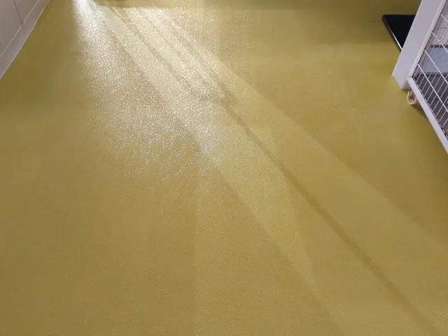 【女性スタッフ在籍】損害保険加入済◉大手での作業経験もあります！サービスの画像