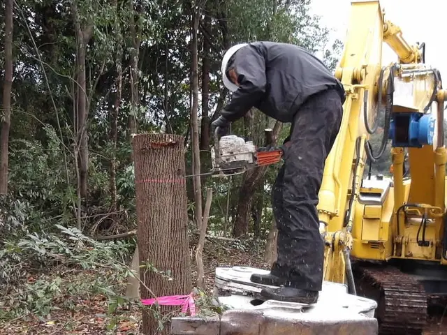 お庭の作業、伐採、抜根、除草サービスの画像