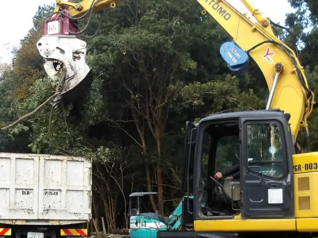 お庭の作業、伐採、抜根、除草サービスの画像