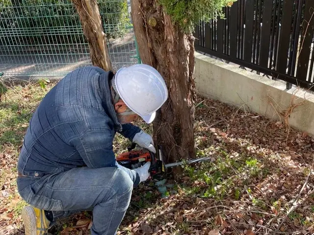 お庭の作業、伐採、抜根、除草サービスの画像