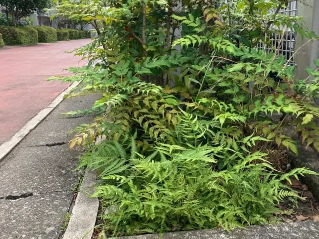 【業歴25年の実績】年中無休◎UNIC車使用可能◎アフターフォローも万全サービスの画像