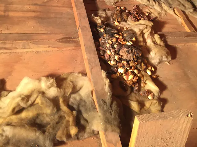 【25年以上の実績】再発防止徹底！！ブロック処理込価格です！サービスの画像