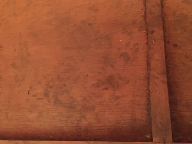 【25年以上の実績】再発防止徹底！！ブロック処理込価格です！サービスの画像