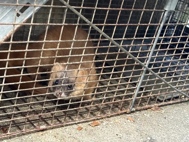 【25年以上の実績】再発防止徹底！！ブロック処理込価格です！サービスの画像