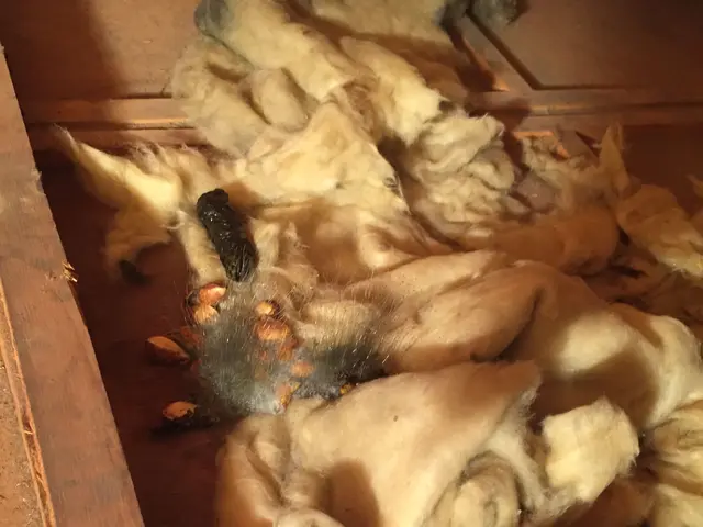 【25年以上の実績】再発防止徹底！！ブロック処理込価格です！サービスの画像