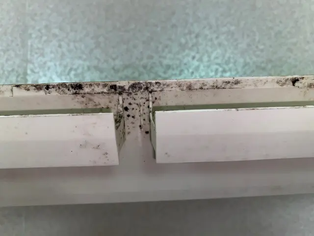 2台目からお得です！《安心の損害保険加入済み》◎年中無休！サービスの画像