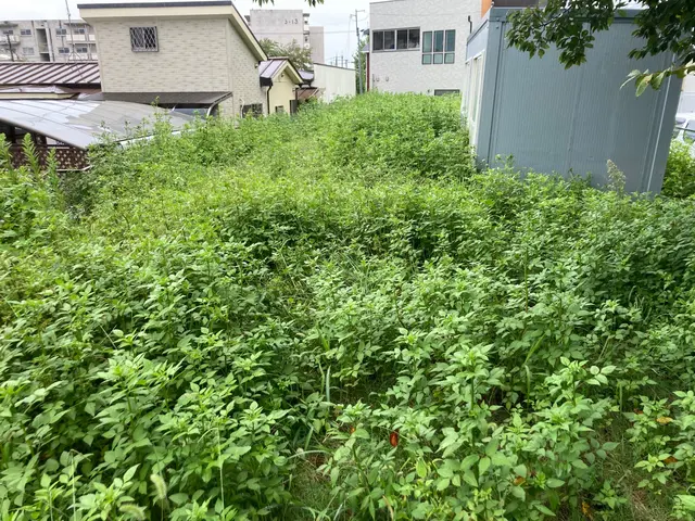 【年中無休】職人歴20年以上！駐車代お店負担！安心の損害保険加入店サービスの画像