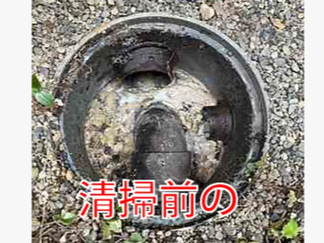 即日対応可！お客様と一緒に最終確認まで行う丁寧なサービスを心掛けています!!サービスの画像