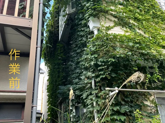 ◆カード決済OK◆大切なお庭をキレイにします◆技能講習多数の私にお任せ下さいサービスの画像