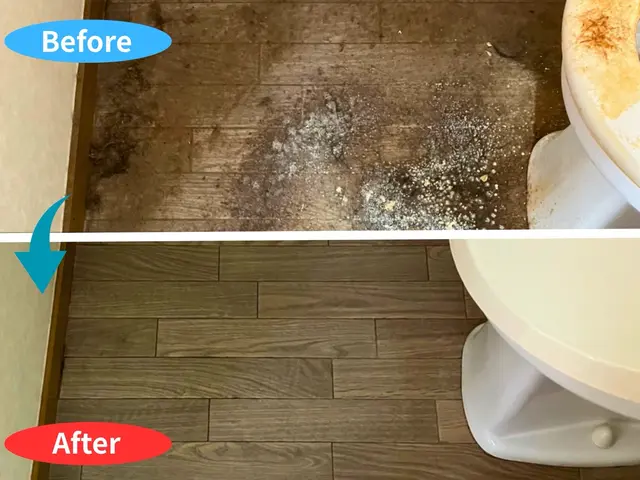 【気になるニオイと汚れを徹底洗浄】【クオリティ重視・高評価多数◎】【ご質問可◎】サービスの画像