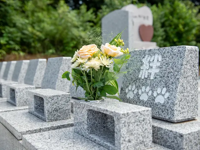 【埼玉県対応！】◆大切なご家族とのお別れの時間を大切に、真心込めてお手伝いしますサービスの画像