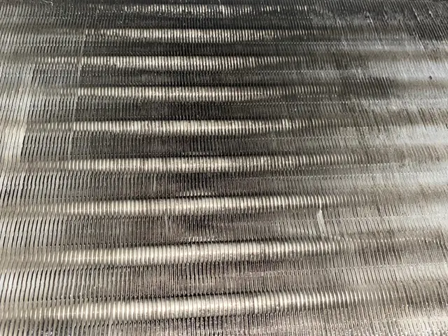 ハウスクリーニング技能士が自信を持ってお掃除致します！今なら消臭抗菌コート半額！サービスの画像