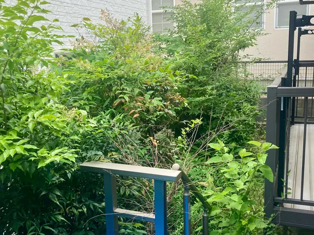 特殊伐採も対応します☆伐採や抜根お任せください☆サービスの画像