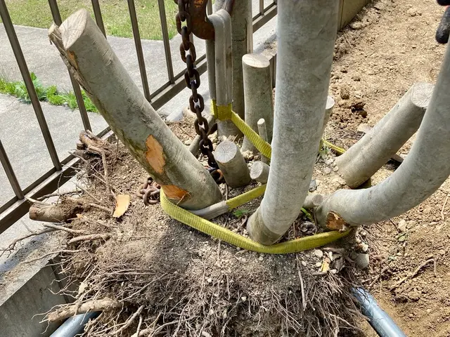 特殊伐採も対応します☆伐採や抜根お任せください☆サービスの画像