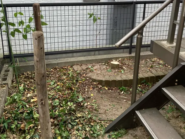 特殊伐採も対応します☆伐採や抜根お任せください☆サービスの画像