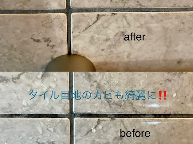 カビ、水垢、湯垢、石鹸カス…。お風呂は汚れの巣窟。私にお任せください！サービスの画像