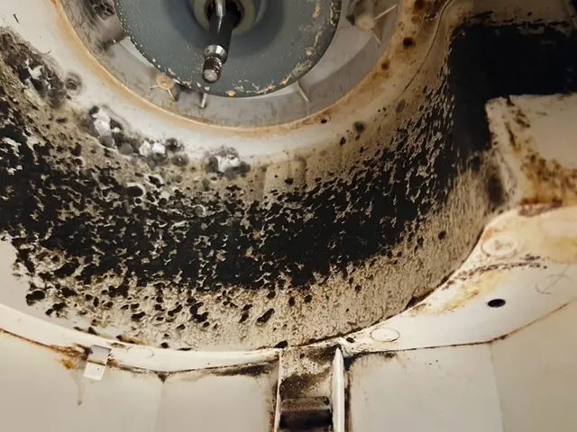 ◎予約から施工まで100%自社対応◎アフターフォローも万全◎損害保険加入済サービスの画像