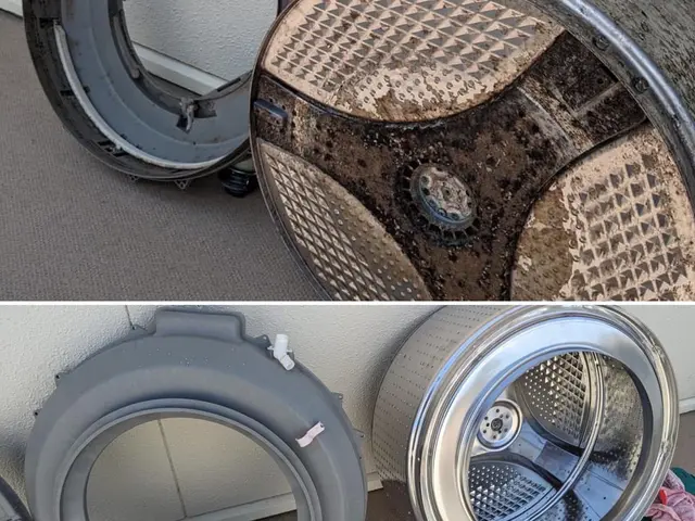 日本初！環境に優しいハウスクリーニング！もちろん身体にも！きれいごとできれいに。サービスの画像