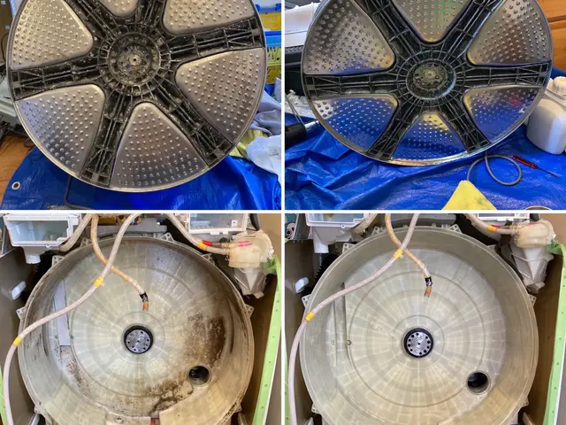 日本初！環境に優しいハウスクリーニング！もちろん身体にも！きれいごとできれいに。サービスの画像