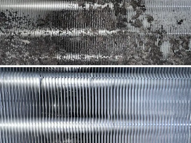 新規出店◎電気工事士免許取得の私が新規出店キャンペーンでお手頃価格で作業します！サービスの画像