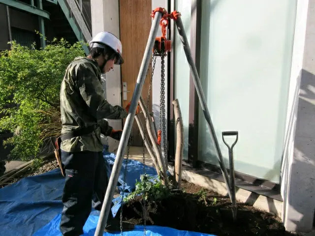 〈reGreen〉クライミングギアを使用した特殊伐採、重機等により安全作業を実施サービスの画像