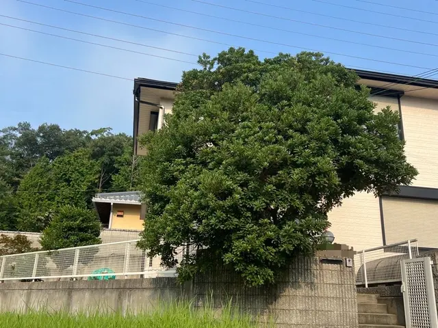 お客様から信頼いただけるよう、一つ一つの作業を迅速丁寧に対応します！サービスの画像