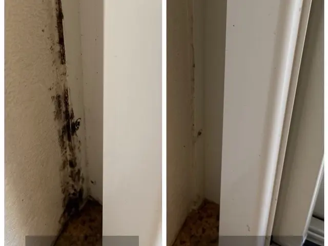 水垢やカビ、鏡のウロコなど頑固になる前にスッキリさせませんか？サービスの画像