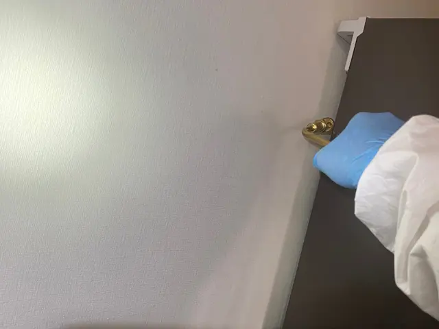 駆除の国家資格も取得！！トコジラミ完全駆除の実績多数！昆虫マニアが安心をお届け！サービスの画像