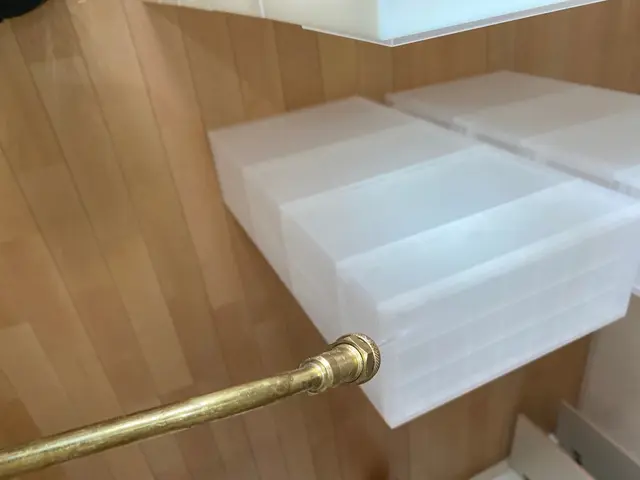 駆除の国家資格も取得！！トコジラミ完全駆除の実績多数！昆虫マニアが安心をお届け！サービスの画像