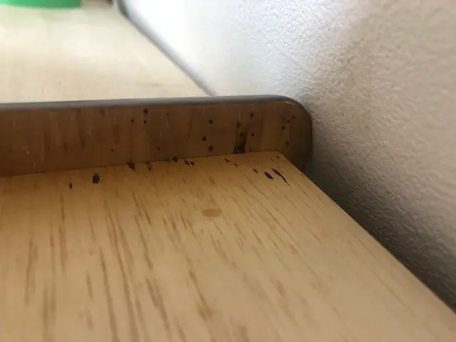 駆除の国家資格も取得！！トコジラミ完全駆除の実績多数！昆虫マニアが安心をお届け！サービスの画像