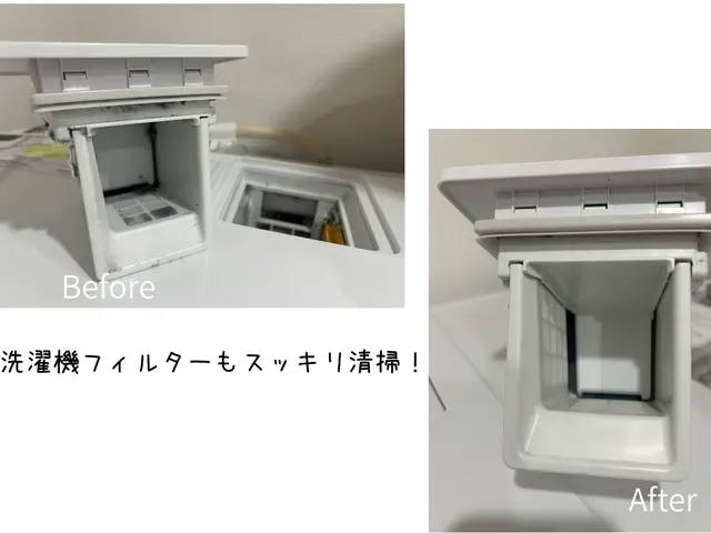 【新規限定3000円/h・女性スタッフが訪問】不在時にも依頼可！損害保険加入済サービスの画像