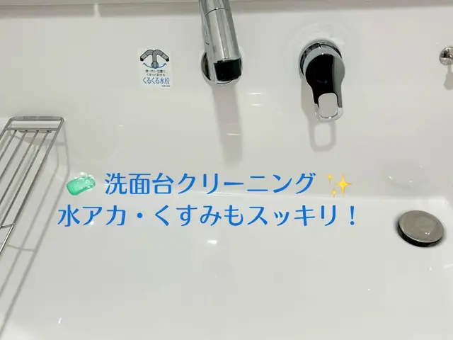 【新規限定3000円/h・女性スタッフが訪問】不在時にも依頼可！損害保険加入済サービスの画像