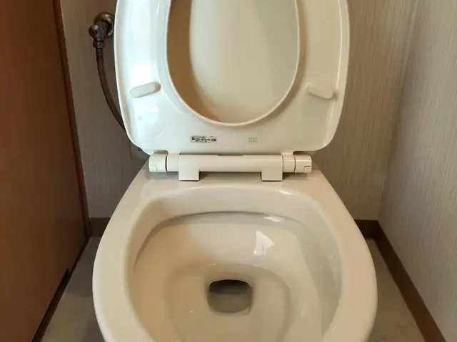 【女性スタッフ同行可能】岐阜市発☆トイレクリーニング☆サービスの画像