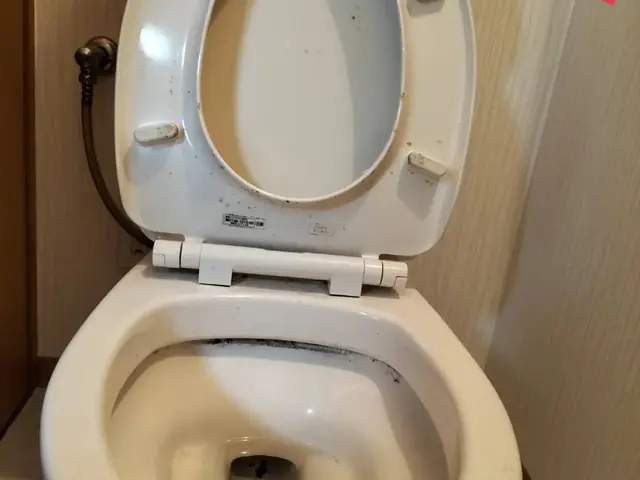 【女性スタッフ同行可能】岐阜市発☆トイレクリーニング☆サービスの画像