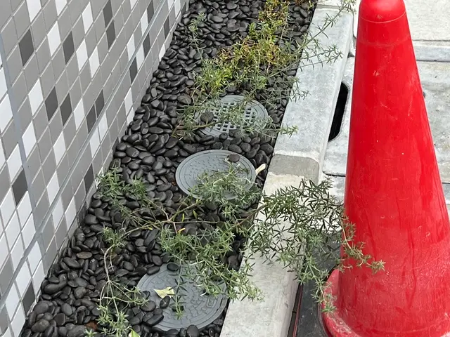 砂利引きで見栄え良く★コミュニケーションをしっかりとり、長年の技術で施工しますサービスの画像