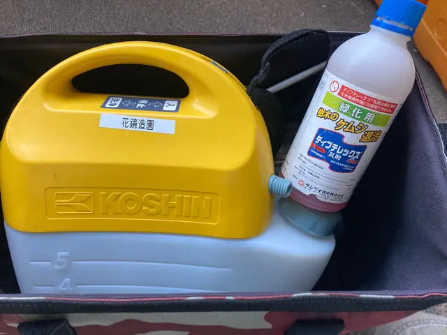 愛知県全域　迅速　安全　親切対応　アシナガバチ　7000円です　農薬指導士サービスの画像