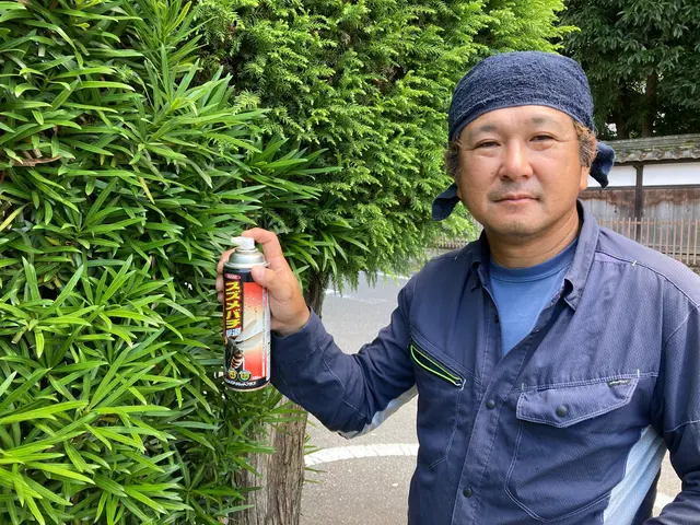 愛知県全域　迅速　安全　親切対応　アシナガバチ　7000円です　農薬指導士サービスの画像