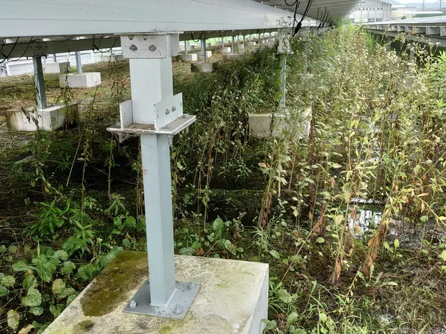 【業歴14年の経験と実績】営業時間外も対応OK・アフターフォローもばっちりサービスの画像