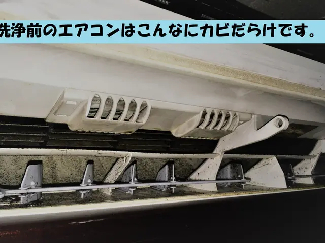 ＼3台以上で1台7700円！！／　◎大人気！体に優しい天然素材防カビ剤無料サービスの画像