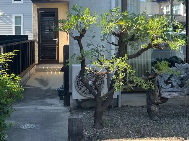 【新規出店】9月度の受付開始中　庭木の自然樹形の剪定やオージープランツの剪定も可サービスの画像