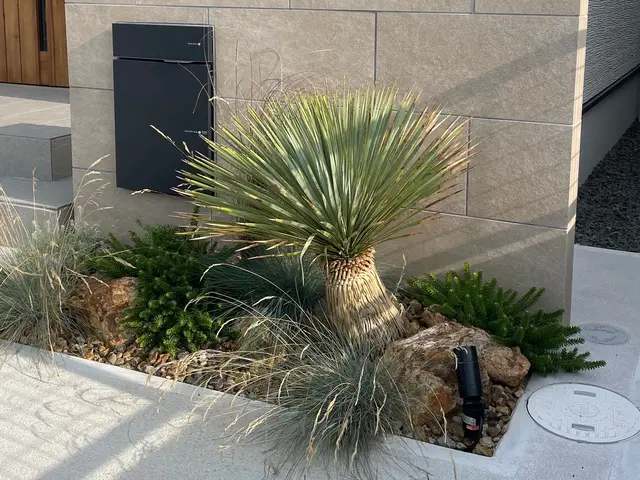 【新規出店】9月度の受付開始中　庭木の自然樹形の剪定やオージープランツの剪定も可サービスの画像