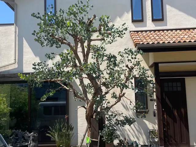 【新規出店】9月度の受付開始中　庭木の自然樹形の剪定やオージープランツの剪定も可サービスの画像