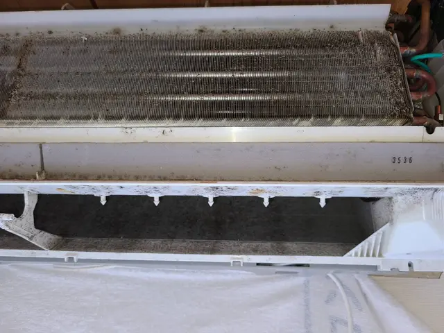 エアコンお掃除をするなら今！☆防カビ消臭コート付き!!サービスの画像