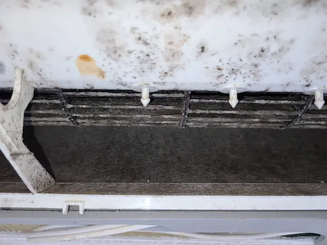 エアコンお掃除をするなら今！☆防カビ消臭コート付き!!サービスの画像