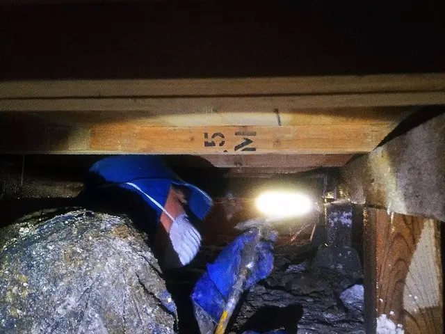 〈5月8日以降ご予約可能です〉創業32年の実績と技術！対応地域外もご相談可能◎サービスの画像