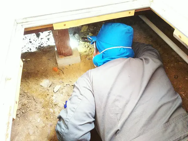 〈5月8日以降ご予約可能です〉創業32年の実績と技術！対応地域外もご相談可能◎サービスの画像