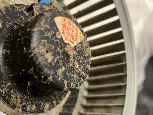 【浴室＆換気扇セット】徹底洗浄プランサービスの画像