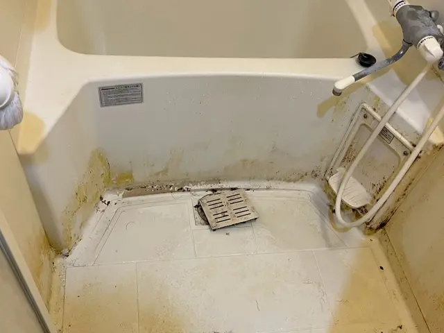 【浴室＆換気扇セット】徹底洗浄プランサービスの画像