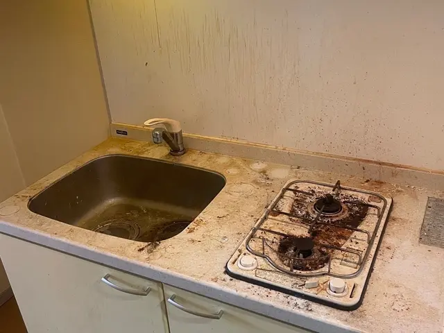 水回り2点セット（キッチン・換気扇）クリーニングならお任せください！サービスの画像