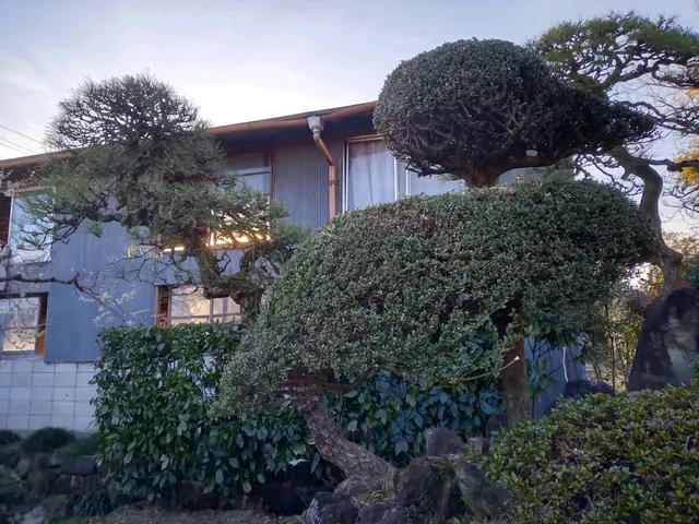 あなたのお庭、綺麗にします。コミュニケーションを第一に、癒しの庭を提案します。サービスの画像